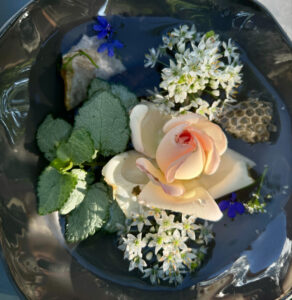 Image of white rose surrounded by green leaves and white flowers suspended in water with piece of wasp's nest.